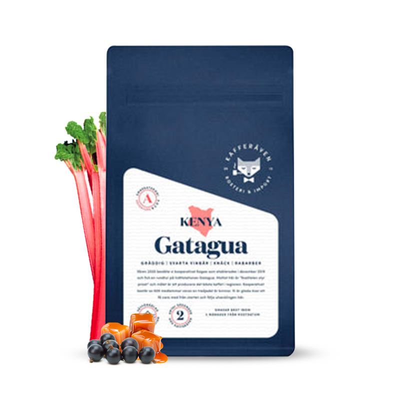 Specialty coffee  Kafferäven Per Nordby Kenya GATAGUA