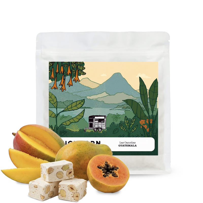 Specialty coffee Quickborn Roastery Guatemala LAS CARMELITAS