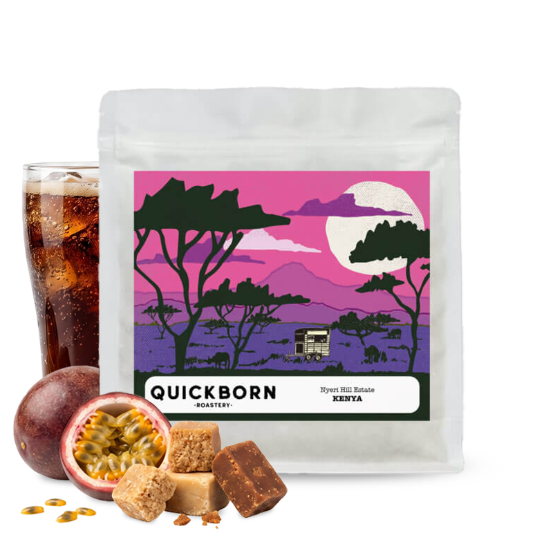 Specialty coffee Quickborn Roastery Kenya NYERI HILL AB