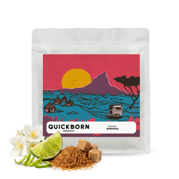 Ethiopia DANCHE - Quickborn Roastery