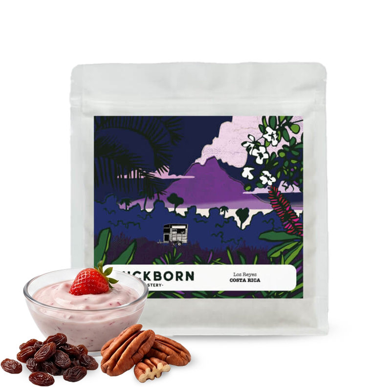 Specialty coffee Quickborn Roastery Costa Rica LOS REYES – espresso