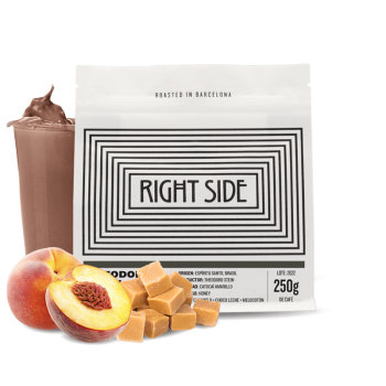 Brazil THEODORO STEIN - Right Side Coffee
