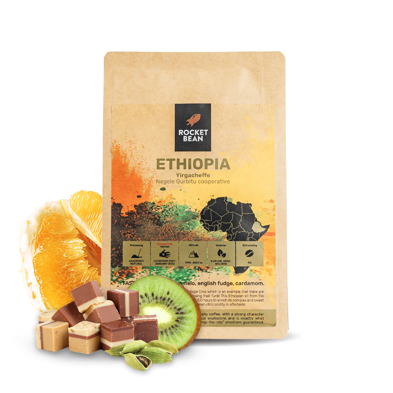 Specialty coffee Rocket Bean Roastery Ethiopia YIRGACHEFFE - anaerobic