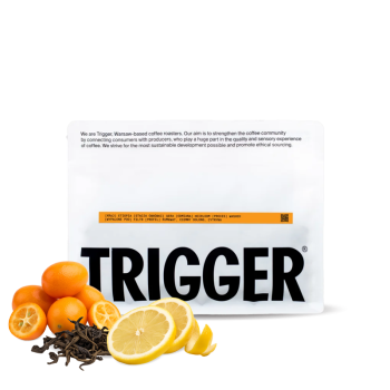 Ethiopia GERA - Trigger Coffee