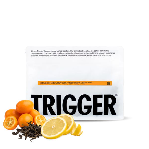 Specialty coffee Trigger Coffee Ethiopia GERA