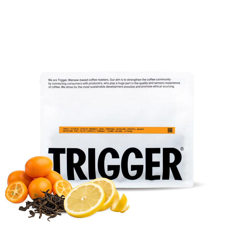 Specialty coffee Trigger Coffee Ethiopia GERA