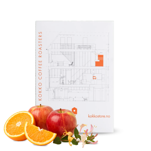 Specialty coffee Kokko Coffee Roasters Honduras EL PANTANAL