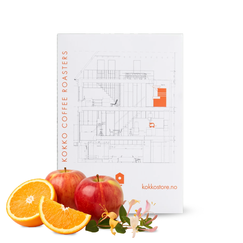 Specialty coffee Kokko Coffee Roasters Honduras EL PANTANAL