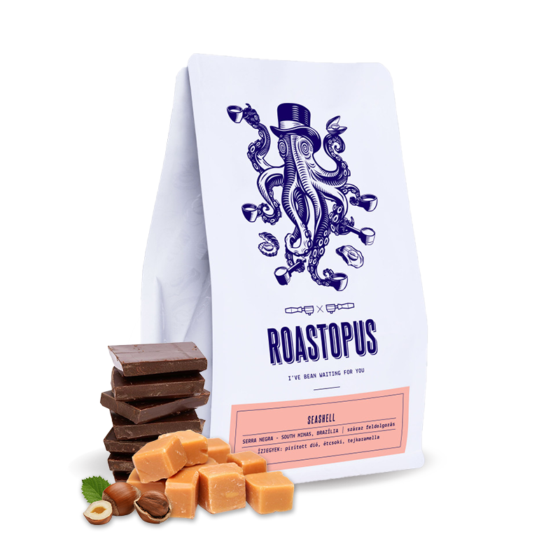 Specialty coffee Roastopus Brazil BRIOSCHI - SEASHELL