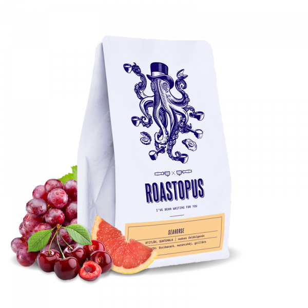 Specialty coffee Roastopus Colombia PÁEZ - SEAHORSE
