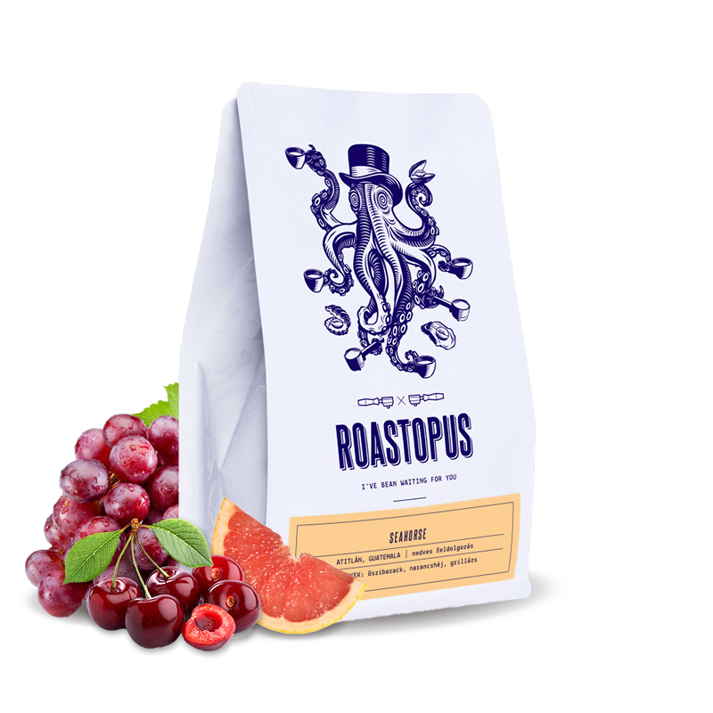 Specialty coffee Roastopus Colombia PÁEZ - SEAHORSE