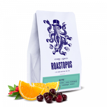 Costa Rica SARCHIMOR - CALYPSO - Roastopus