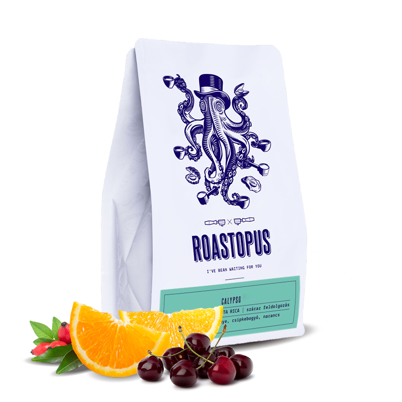 Specialty coffee Roastopus Costa Rica SARCHIMOR - CALYPSO