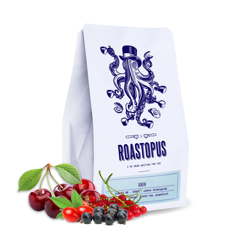 Specialty coffee Roastopus Burundi GAHAHE - SIREN