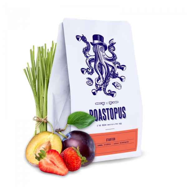 Specialty coffee Roastopus Etiopie ESAYAS BERISO - STARFISH