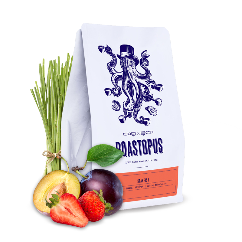 Specialty coffee Roastopus Etiopie ESAYAS BERISO - STARFISH