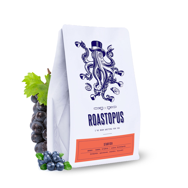 Specialty coffee Roastopus Ethiopia STARFISH - anaerobic