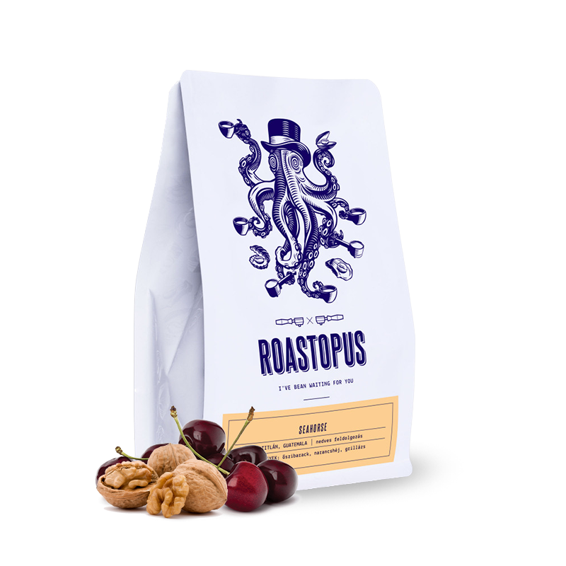 Specialty coffee Roastopus Nicaragua SEAHORSE