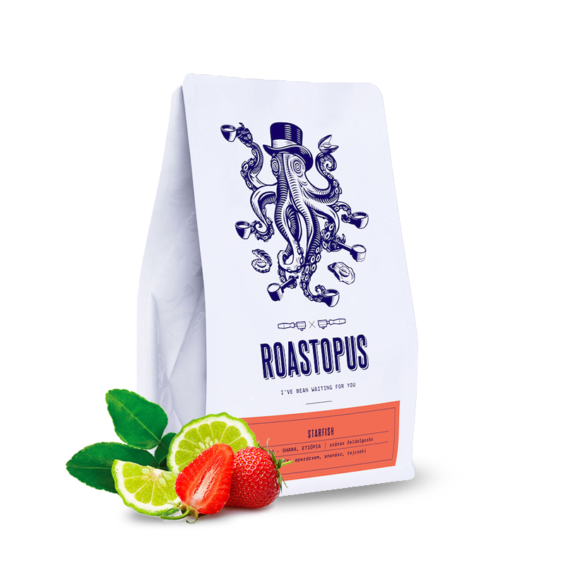 Specialty coffee Roastopus Ethiopia STARFISH - 2021