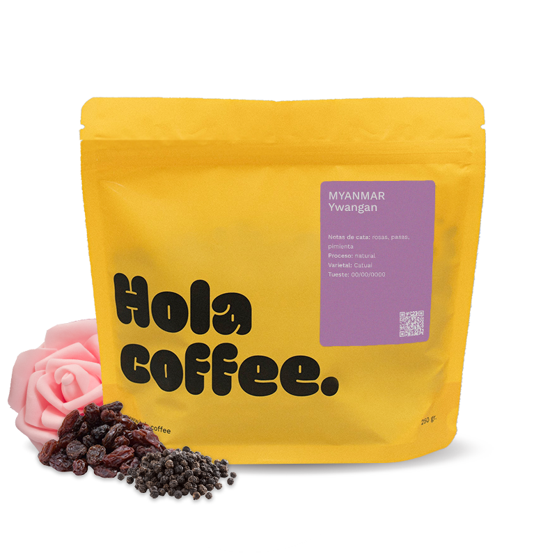 Specialty coffee Hola Coffee Myanmar YWANGAN - filter