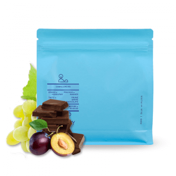 Honduras Caballero #3 - Round Hill Roastery