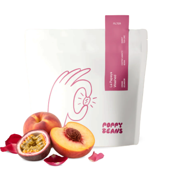 Colombia OSCAR HERNANDÉZ - Themal Shock Geisha - 200g - Poppy Beans