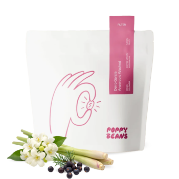 Colombia DIERO GARCIA WUSH WUSH - Poppy Beans