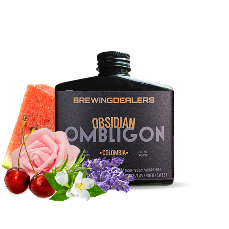Specialty coffee Brewing Dealers Colombia OBSIDIAN - OMBLIGON - 100g