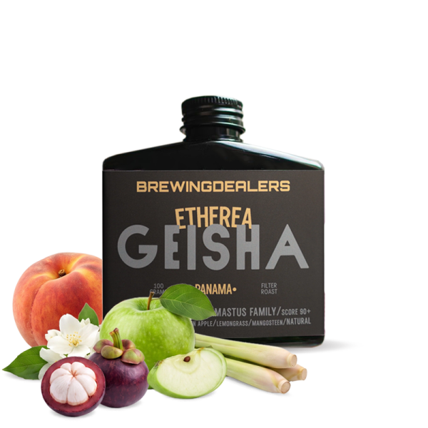 Specialty coffee Brewing Dealers Panama ETHEREA - Geisha - 100 g
