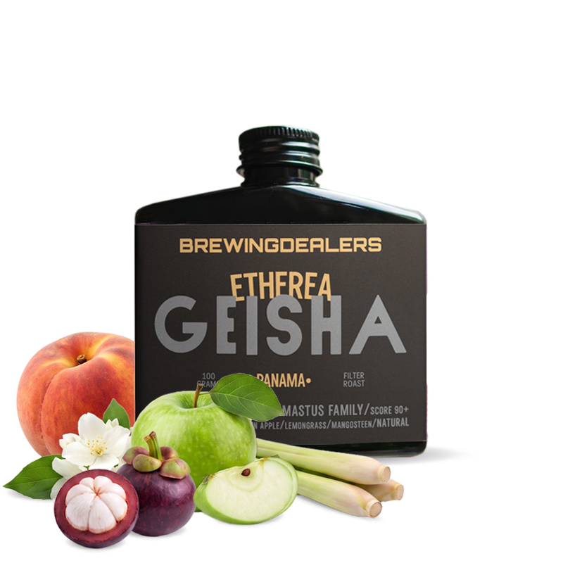 Specialty coffee Brewing Dealers Panama ETHEREA - Geisha - 100 g