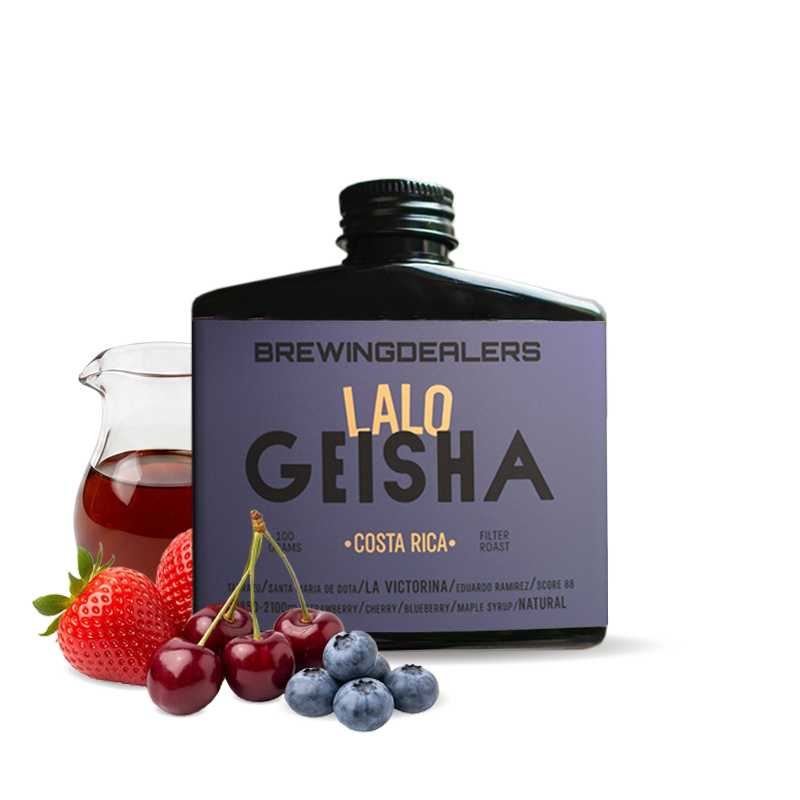 Specialty coffee Brewing Dealers Costa Rica LALO - 100 g