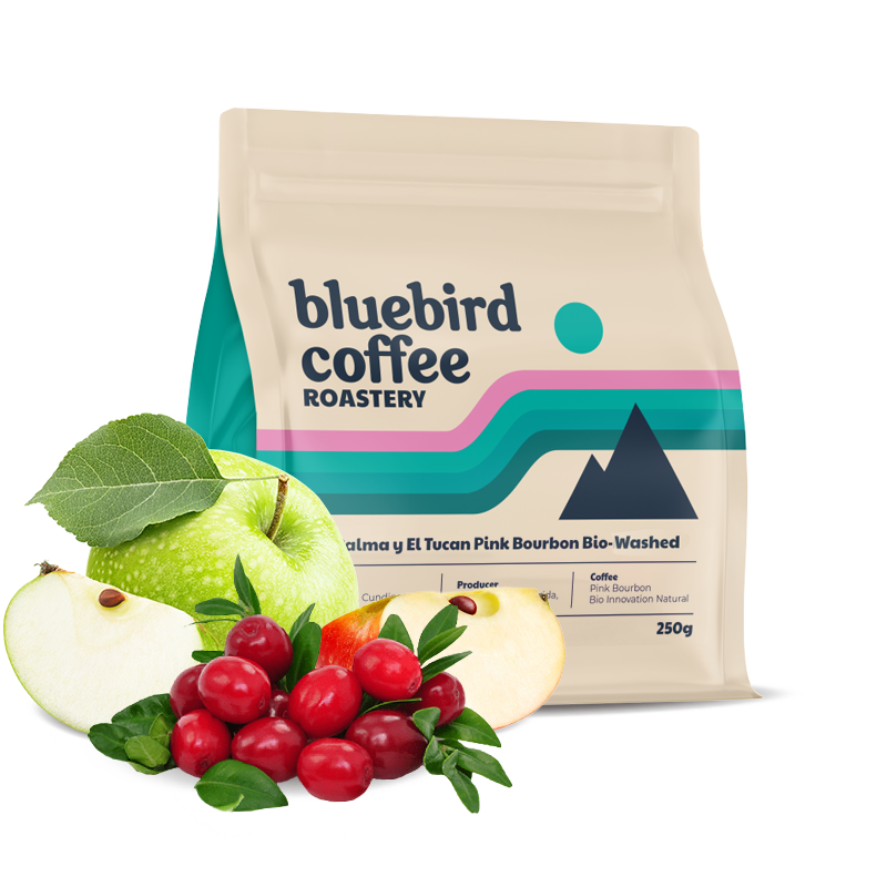 Specialty coffee Bluebird Coffee Roastery Colombia LA PALMA & EL TUCAN - pink bourbon