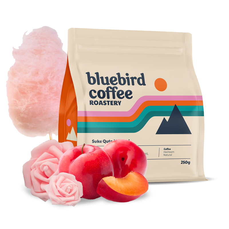 Specialty coffee Bluebird Coffee Roastery Etiopie SUKE QUTO