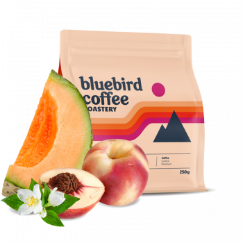 Guatemala EL SOCORRO - gesha - 100g - Bluebird Coffee Roastery