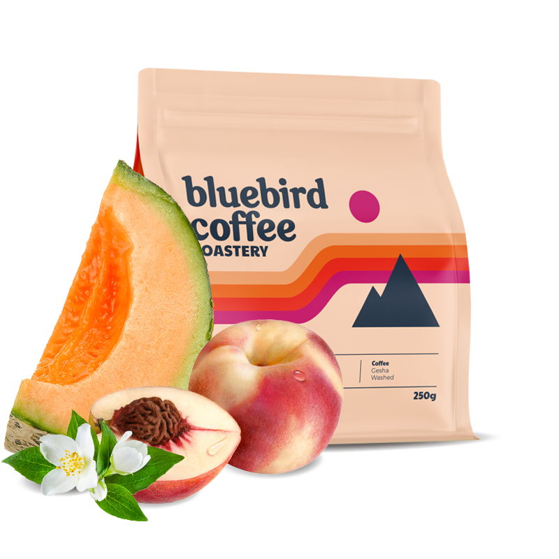 Specialty coffee Bluebird Coffee Roastery Guatemala EL SOCORRO - gesha - 100g