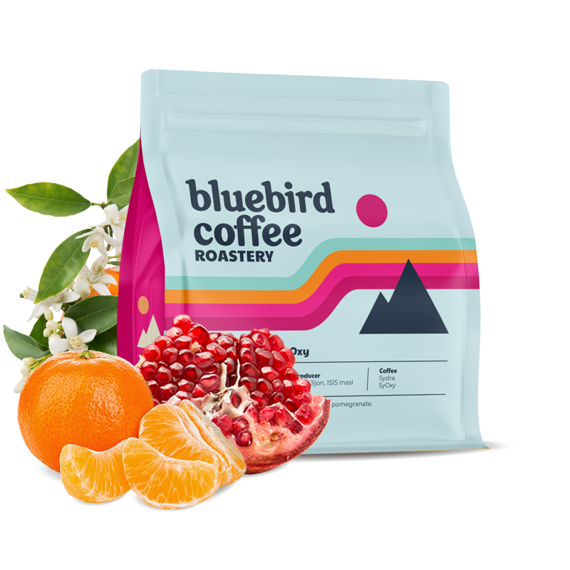 Specialty coffee Bluebird Coffee Roastery Ecuador FINCA SOLEDAD SyOxy - 100g