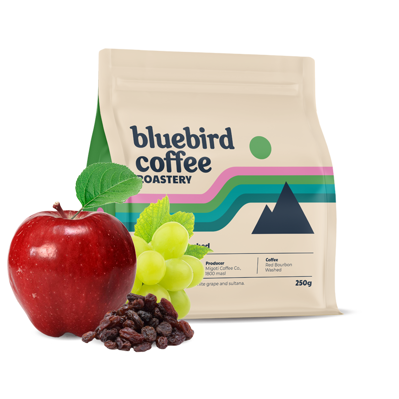 Specialty coffee Bluebird Coffee Roastery Burundi MIGOTI HILL
