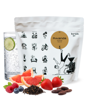Rwanda ISCHEMA - Krok