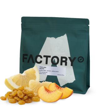 Thailand WICHAI NAN MANEEPHRUEK - natural - Factory Coffee Roastery