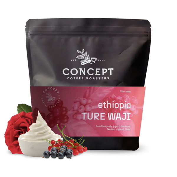 Specialty coffee Concept Coffee Roasters Ethiopia TURE WAJI