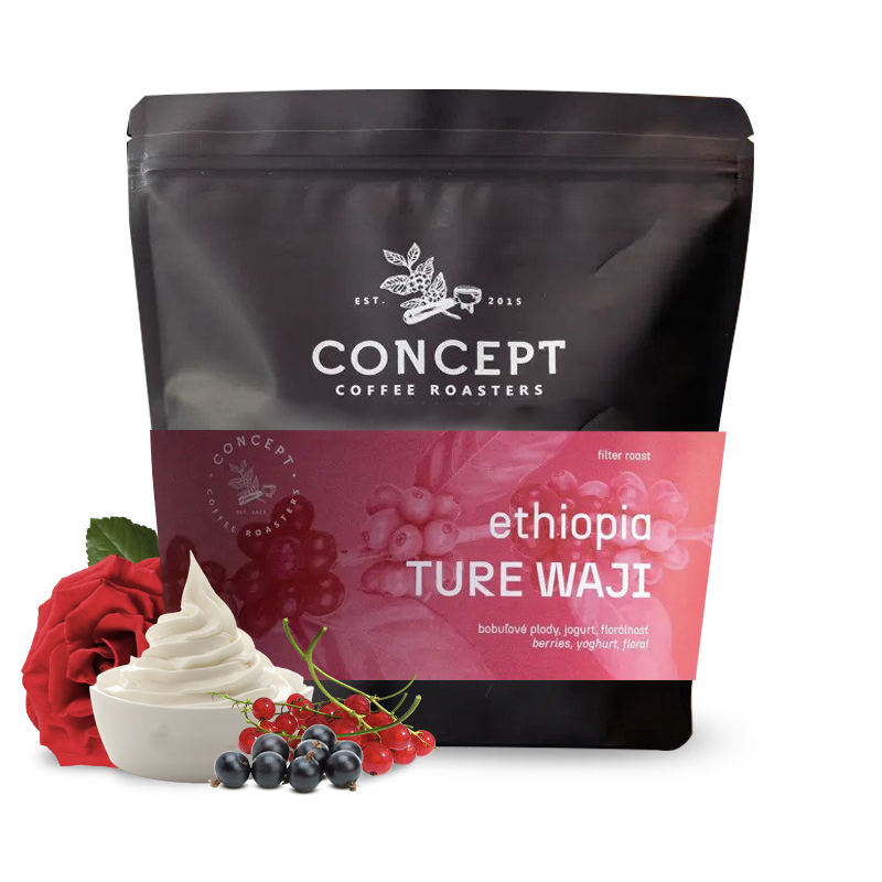 Specialty coffee Concept Coffee Roasters Ethiopia TURE WAJI