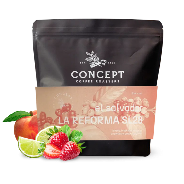 Specialty coffee Concept Coffee Roasters El Salvador LA REFORMA SL28