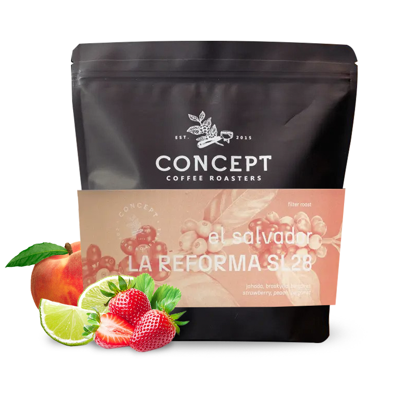 Specialty coffee Concept Coffee Roasters El Salvador LA REFORMA SL28