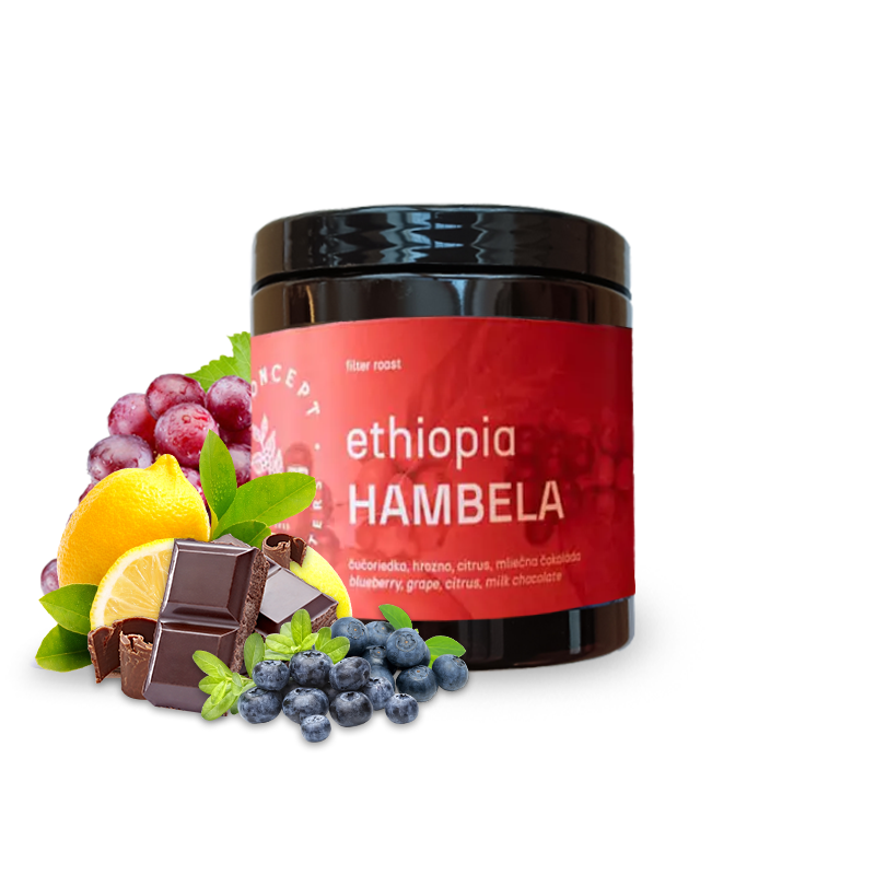 Specialty coffee Concept Coffee Roasters Ethiopia HAMBELA