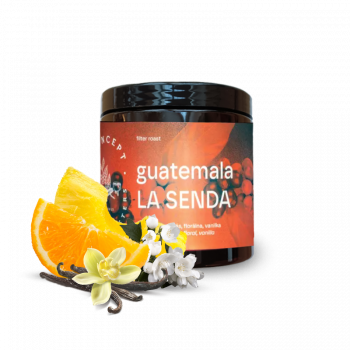 Guatemala LA SENDA - Concept