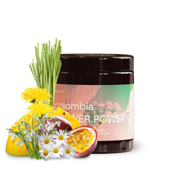 Specialty coffee Concept Coffee Roasters Colombia FLOWER POWER