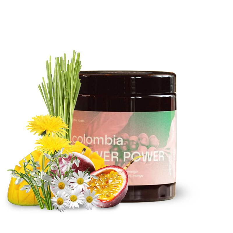 Specialty coffee Concept Coffee Roasters Colombia FLOWER POWER