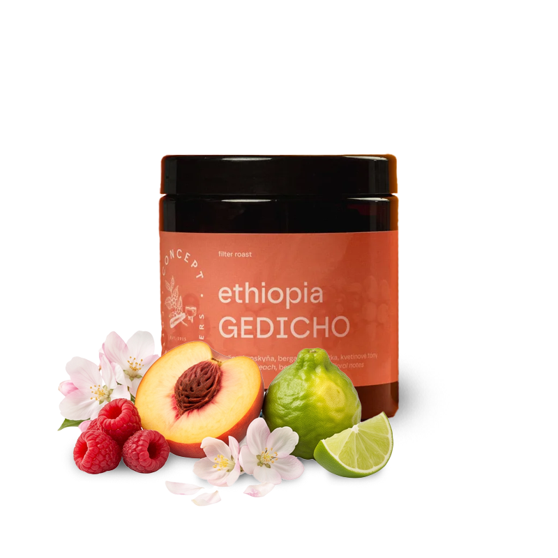 Specialty coffee Concept Coffee Roasters Ethiopia GEDICHO