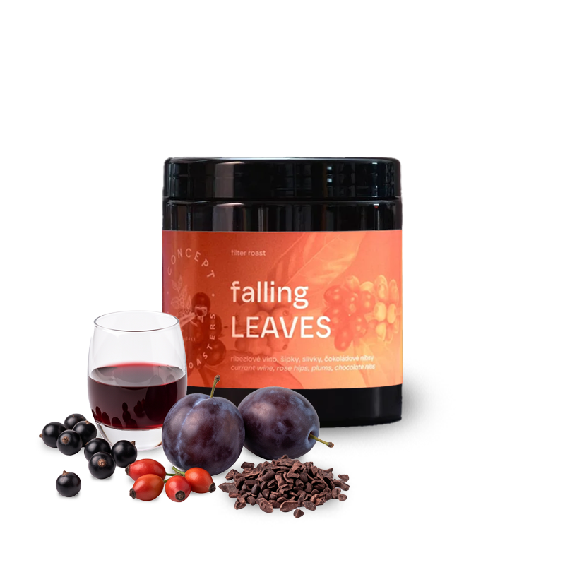 Specialty coffee Concept Coffee Roasters Colombia FALLING LEAVES - autumn limited edition