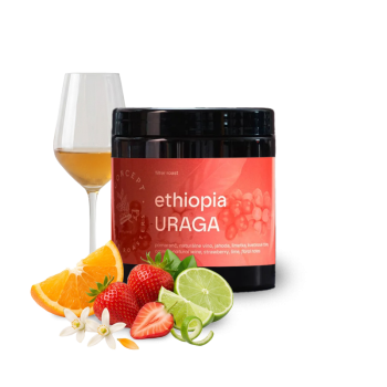 Ethiopia URAGA - Concept